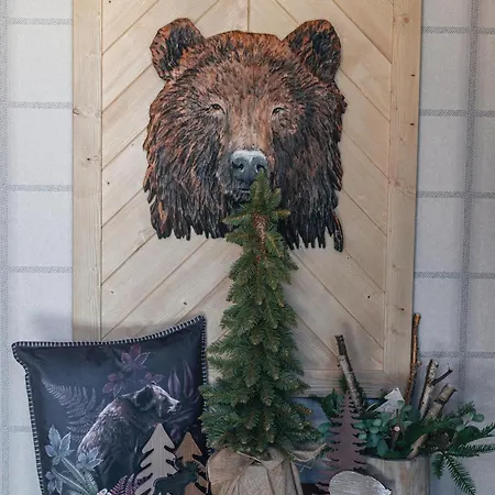 Orlik Appartamento Bukowina Tatrzańska